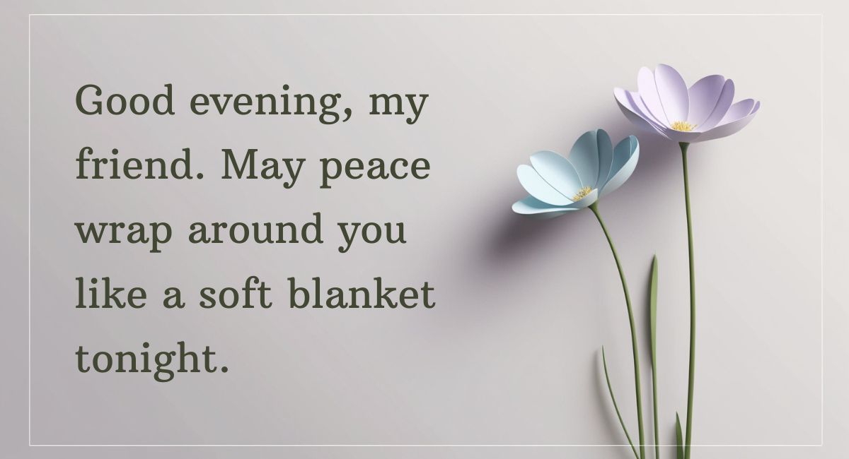 Best Good Evening Message for Friends: Make Their Evening Special