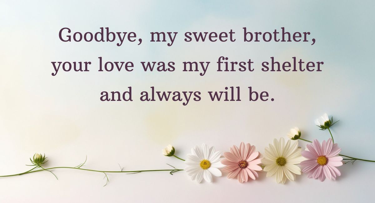 Goodbye Messages to a Brother Who Passed Away from Sister