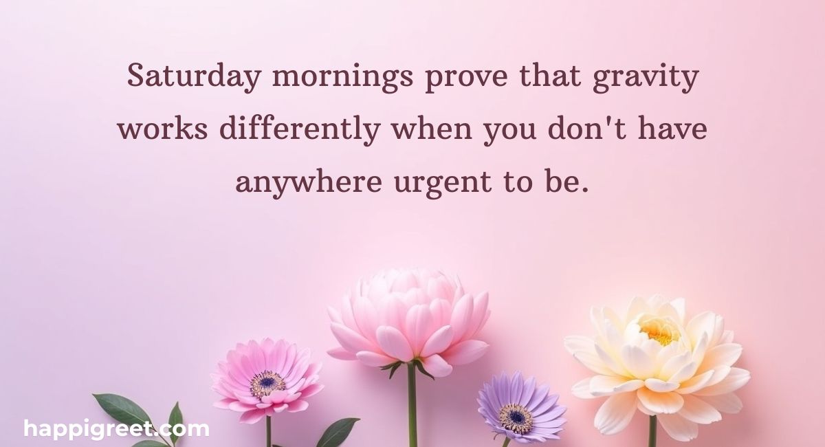 Funny Saturday Quotes