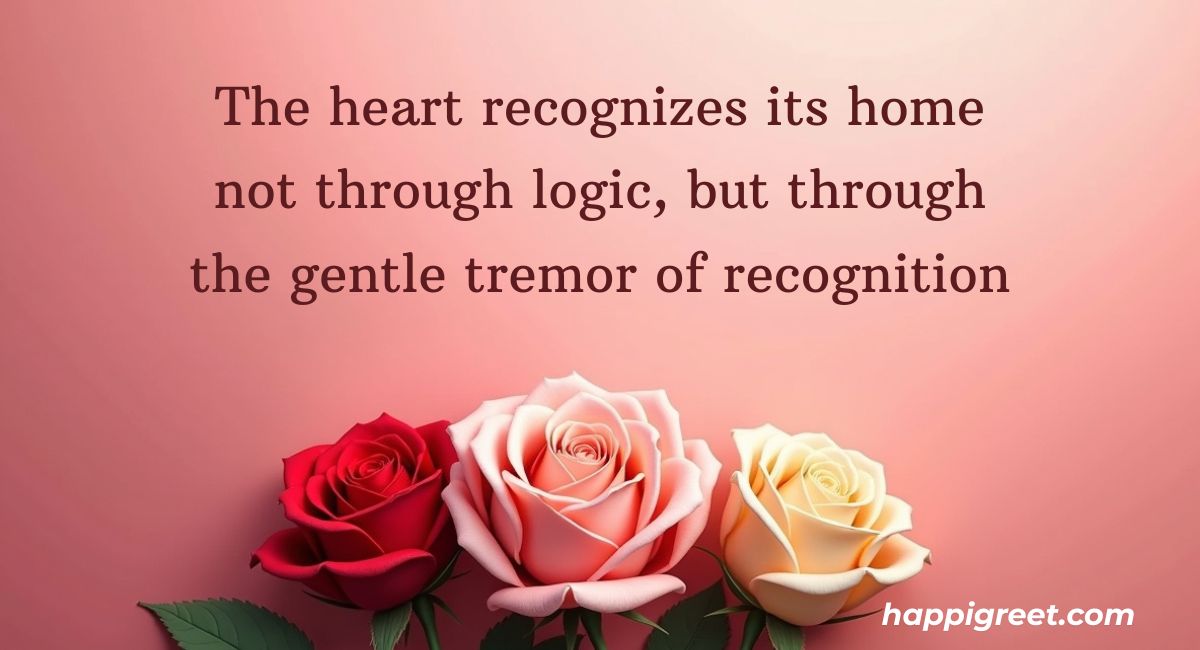 Heart Touching True Love Quotes