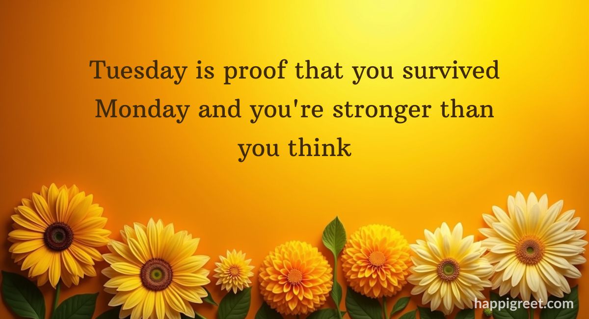 Tuesday Motivation Quotes